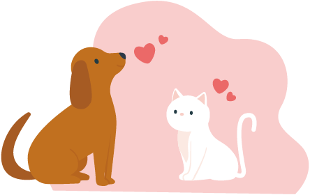 犬と猫